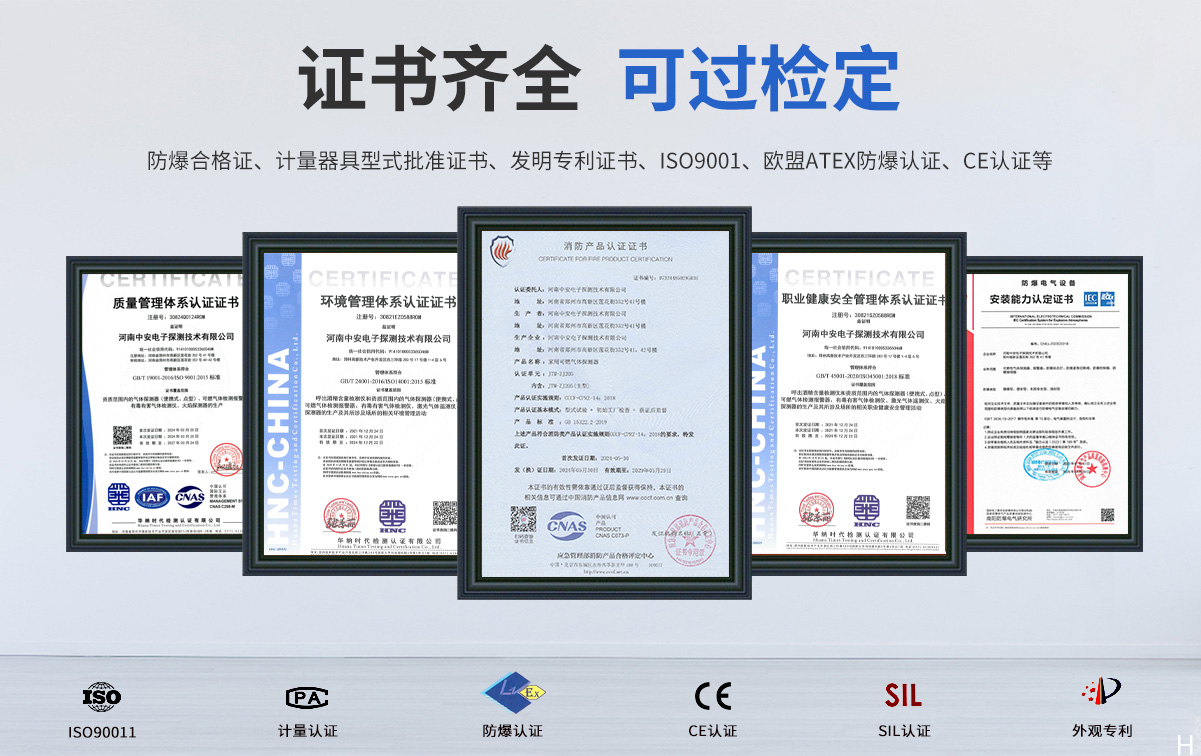 JTM-ZJ205新獨(dú)立式家用燃?xì)馓綔y器_06